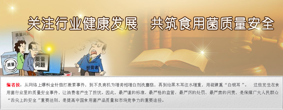 關注食用菌質(zhì)量安全