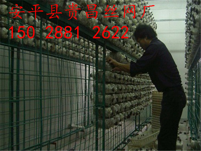 食用菌網(wǎng)格網(wǎng)架，出菇房網(wǎng)格，蘑菇網(wǎng)片