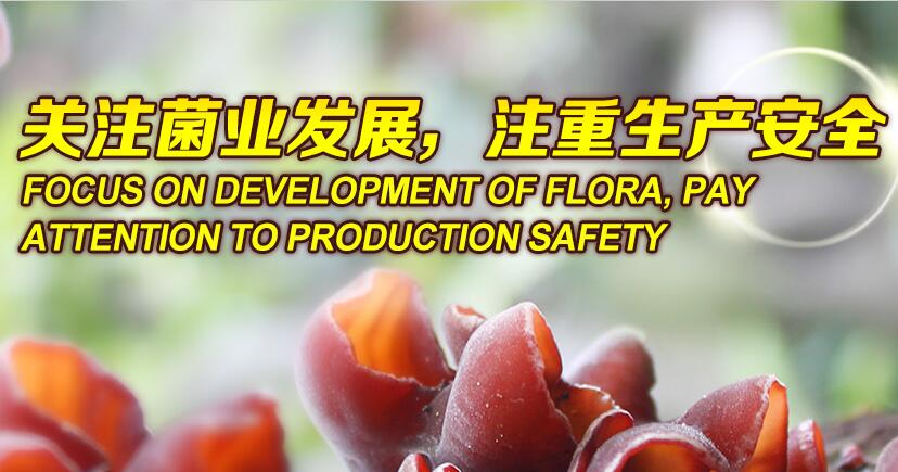 關(guān)注菌業(yè)發(fā)展，注重生產(chǎn)安全