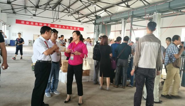 “全國食用菌產(chǎn)業(yè)精準(zhǔn)扶貧經(jīng)驗交流會”參會代表共同參觀武川縣食用菌生產(chǎn)基地