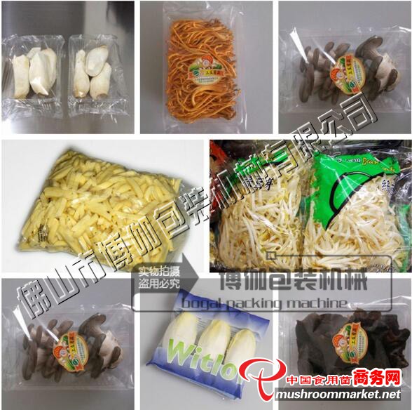 平菇包裝機 佛山專業(yè)廠家大量供應(yīng)