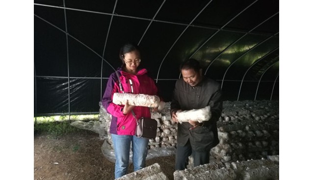 貴州省農(nóng)科院品資所在赫章縣開(kāi)展食用菌種植等科技培訓(xùn)班