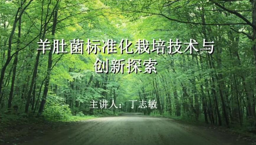 羊肚菌標(biāo)準化生產(chǎn)加工技術(shù)創(chuàng)新及高產(chǎn)案例分享-丁志敏老師