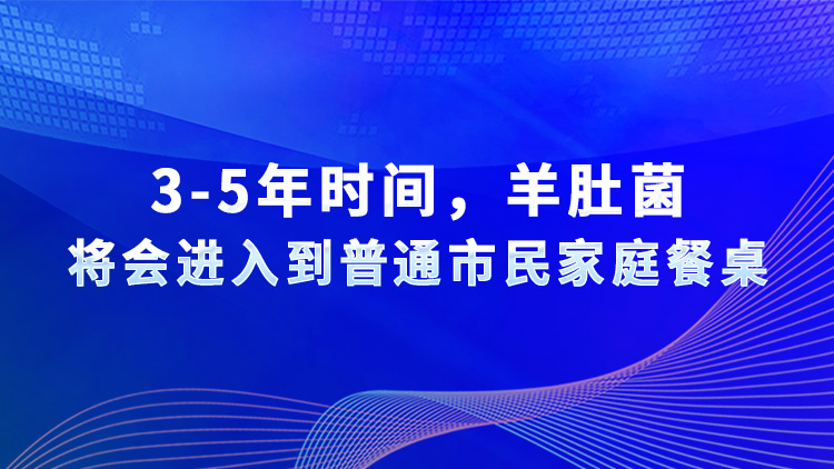3-5年時(shí)間，羊肚菌將會進(jìn)入到普通市民家庭餐桌