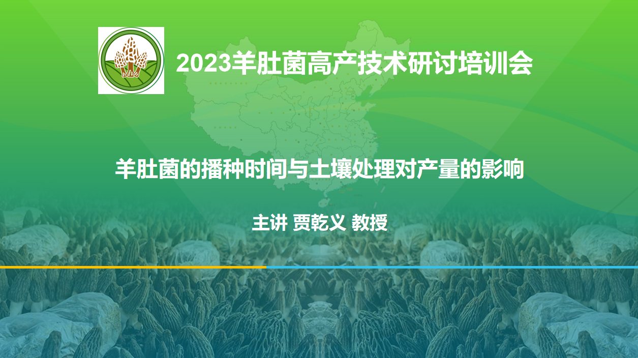 羊肚菌的播種時(shí)間與土壤處理對產(chǎn)量的影響