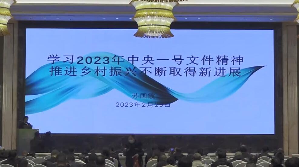 蘇國霞：學(xué)習(xí)2023年中央一號文件精神推進鄉(xiāng)村振興不斷取得新進展