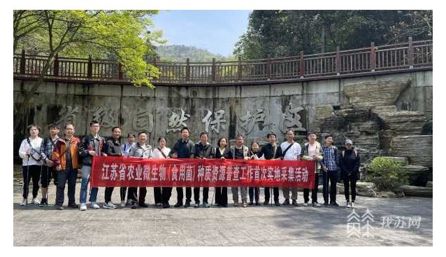 首次實(shí)地采集！江蘇開(kāi)展農(nóng)業(yè)微生物（食用菌）種質(zhì)資源普查