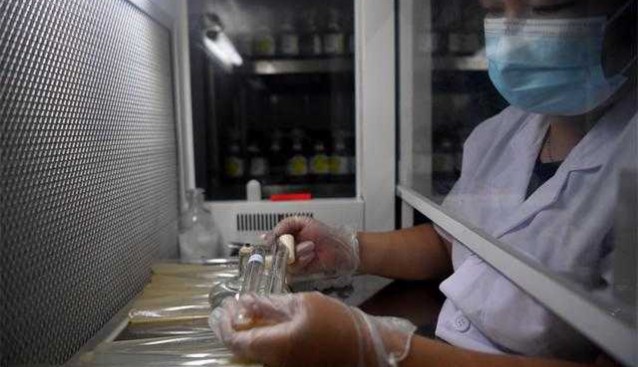 江西安義縣：廢料再利用，種植雙孢菇