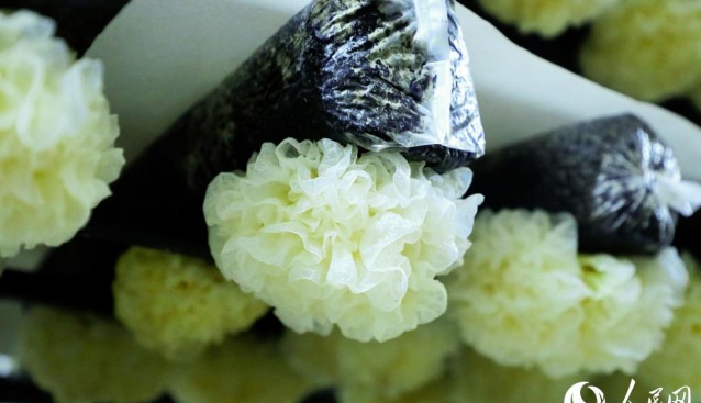 銀耳太空遨游后，增產(chǎn)超一成