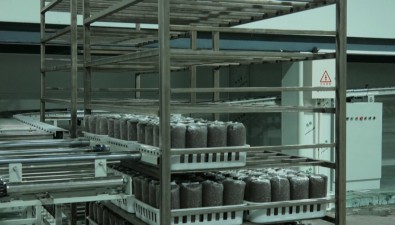 貴州聚福菌：運(yùn)用智能化技術(shù)，構(gòu)建現(xiàn)代