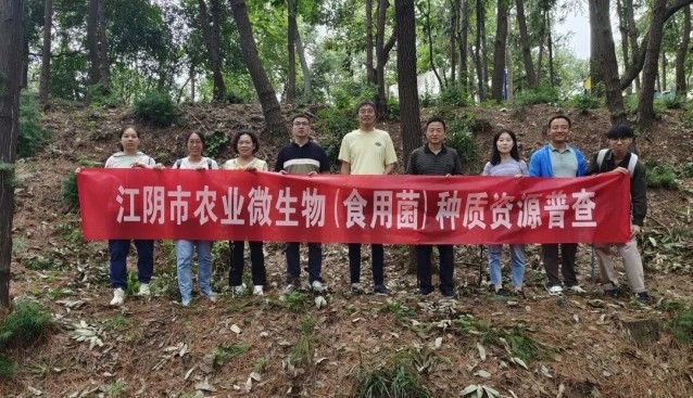 江陰市首次農業(yè)微生物（食用菌）種質資源普查收官