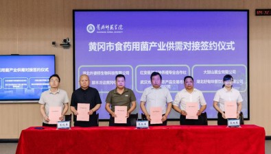 總金額1.2億元！產(chǎn)學(xué)研供需對接會簽約食藥用菌超過5000噸