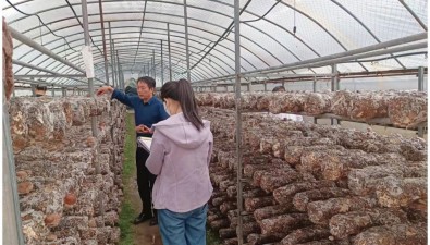 陜西商洛集中開展食用菌質(zhì)量安全專項監(jiān)測