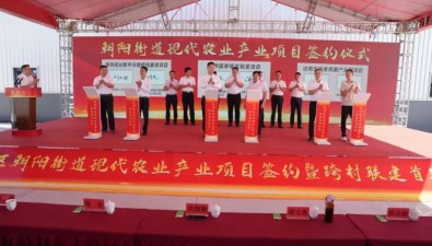 計劃投資3.23億元！福建漳州朝陽街道簽約食用菌項目