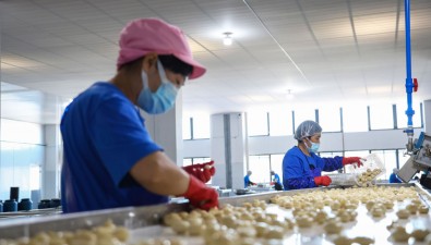 江西樂安種菇用產(chǎn)業(yè)鏈抵御風險