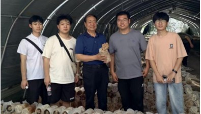 河南世紀(jì)香構(gòu)建育種體系，破譯菌菇增值密碼