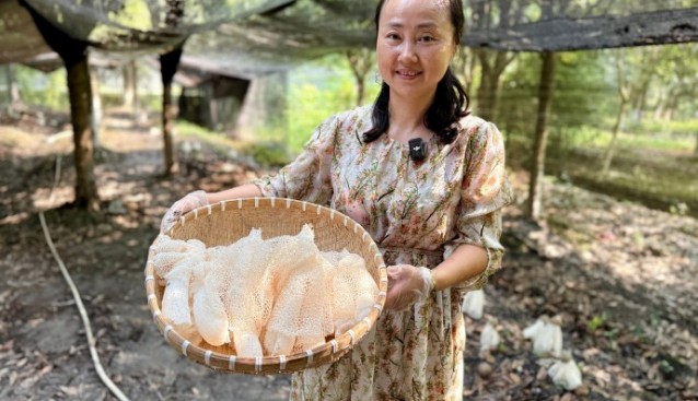 成都雙流林下套種竹蓀、靈芝首獲成功