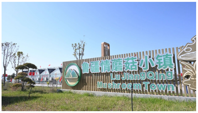 “魯疆情”食用菌生態(tài)科技示范園解鎖蘑菇新玩法