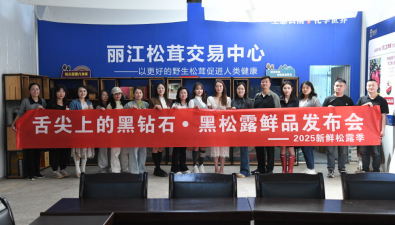 云南麗江：可以吃的“黑鉆石”上市啦