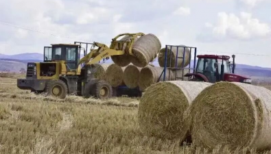 牡丹江生物質燃料項目讓8億袋廢舊菌包等“變廢成金”