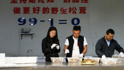 云南麗江：共建10000㎡交易平臺