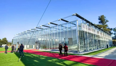 云南洱源縣：鄧川鎮(zhèn)高標準工廠化食用菌栽培項目通過驗收