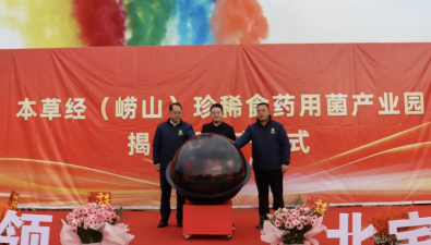 本草經(jīng)（嶗山）珍稀食藥用菌產(chǎn)業(yè)園揭牌投產(chǎn)