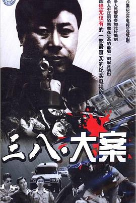 沈陽三八大案偵破紀(jì)實(shí)
