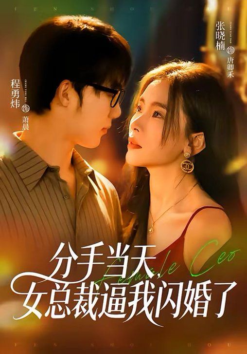 分手當(dāng)天，女總裁逼我閃婚了